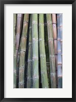 Framed Bamboo Fence