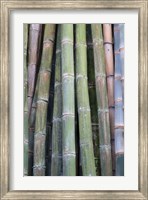 Framed Bamboo Fence