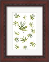 Framed Bamboo Leaf Collection