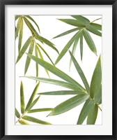Framed Bamboo Collage