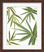 Framed Bamboo Collage