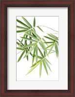 Framed Bamboo Bouquet