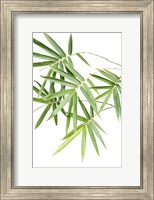 Framed Bamboo Bouquet