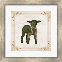 Framed Lamb