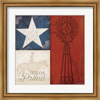 Framed Texas Proud
