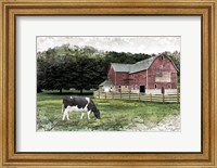 Framed Cow