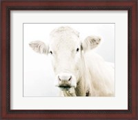 Framed Cow II