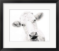 Framed Cow IV