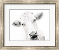 Framed Cow IV