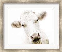 Framed Cow V