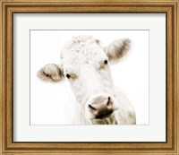 Framed Cow V