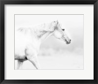Framed Horse
