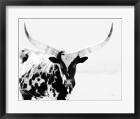 Framed Longhorn II