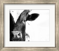 Framed Cow VI