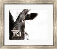 Framed Cow VII