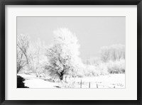 Framed Winter Scene
