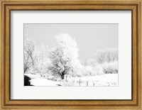 Framed Winter Scene