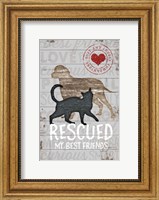 Framed Rescued My Best Friend