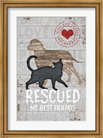 Framed Rescued My Best Friend