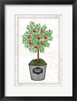 Framed Apple Topiary