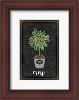 Framed Apple Topiary