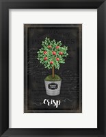 Framed Apple Topiary