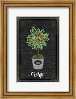 Framed Apple Topiary