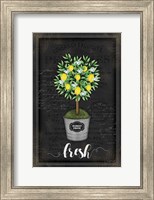 Framed Lemon Topiary