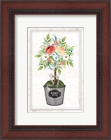 Framed Floral Topiary
