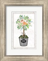 Framed Floral Topiary II