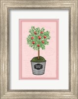 Framed Apple Topiary - Pink