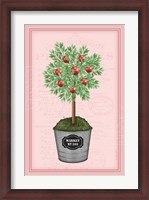 Framed Apple Topiary - Pink