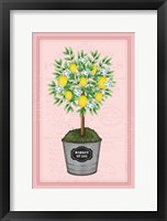 Framed Lemon Topiary - Pink