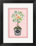 Framed Floral Topiary II - Pink