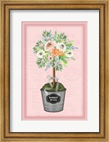 Framed Floral Topiary II - Pink
