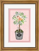 Framed Floral Topiary II - Pink