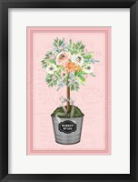 Framed Floral Topiary II - Pink