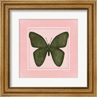 Framed Butterfly - Pink