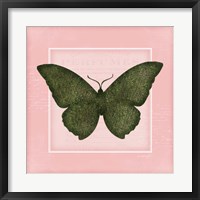 Framed Butterfly II - Pink