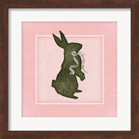 Framed Bunny - Pink