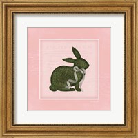 Framed Bunny II - Pink