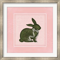 Framed Bunny II - Pink
