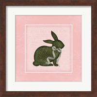 Framed Bunny II - Pink