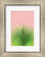 Framed Pink Palm I