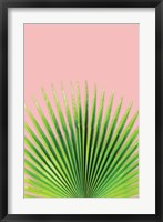 Framed Pink Palm I