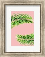 Framed Pink Palm II