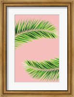 Framed Pink Palm II