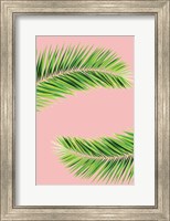 Framed Pink Palm II