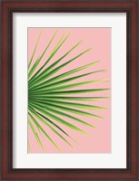 Framed Pink Palm III