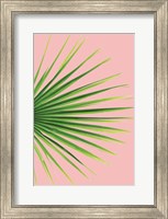 Framed Pink Palm III